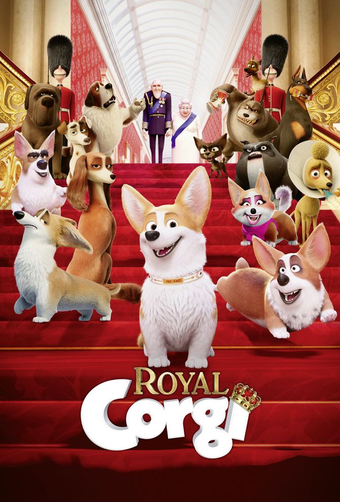 Royal Corgi