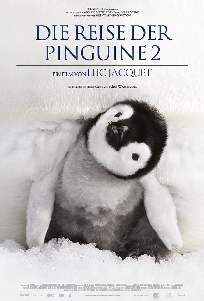 Die Reise der Pinguine 2 - Der Weg des Lebens